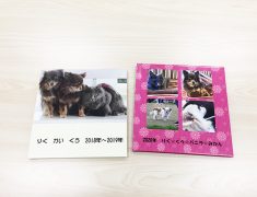 ペットの写真をまとめたアルバムの表紙画像