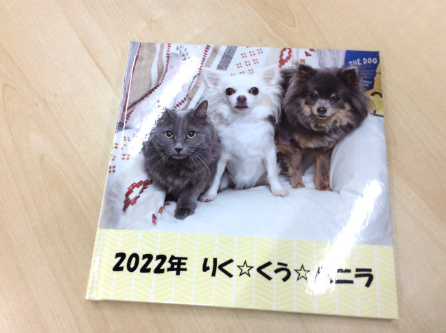 猫と犬のアルバム表紙
