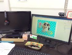 pc shimin koza