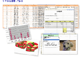 excel-sample