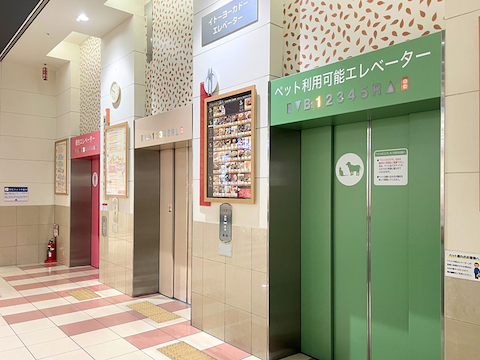 教室への行き方3